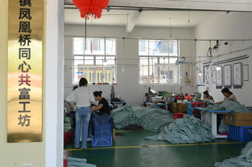 村里建起“沒有圍墻的工廠”——浙江臨海“共富工坊”以技術服務助力農民家門口就業增收
